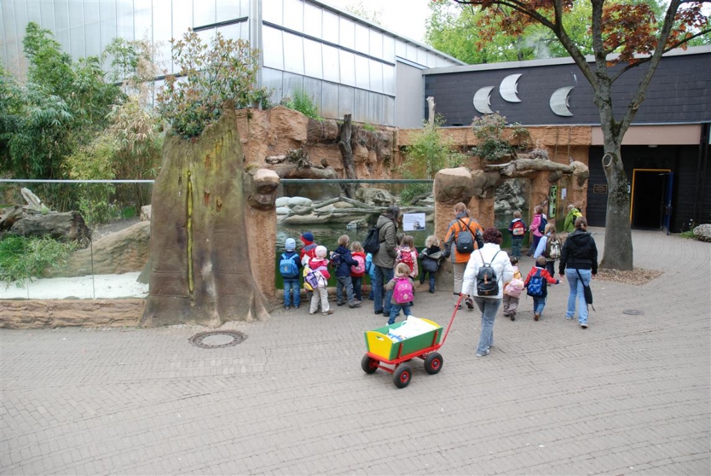 Zoo Duisburg AG - Außengehege Riesenotter
